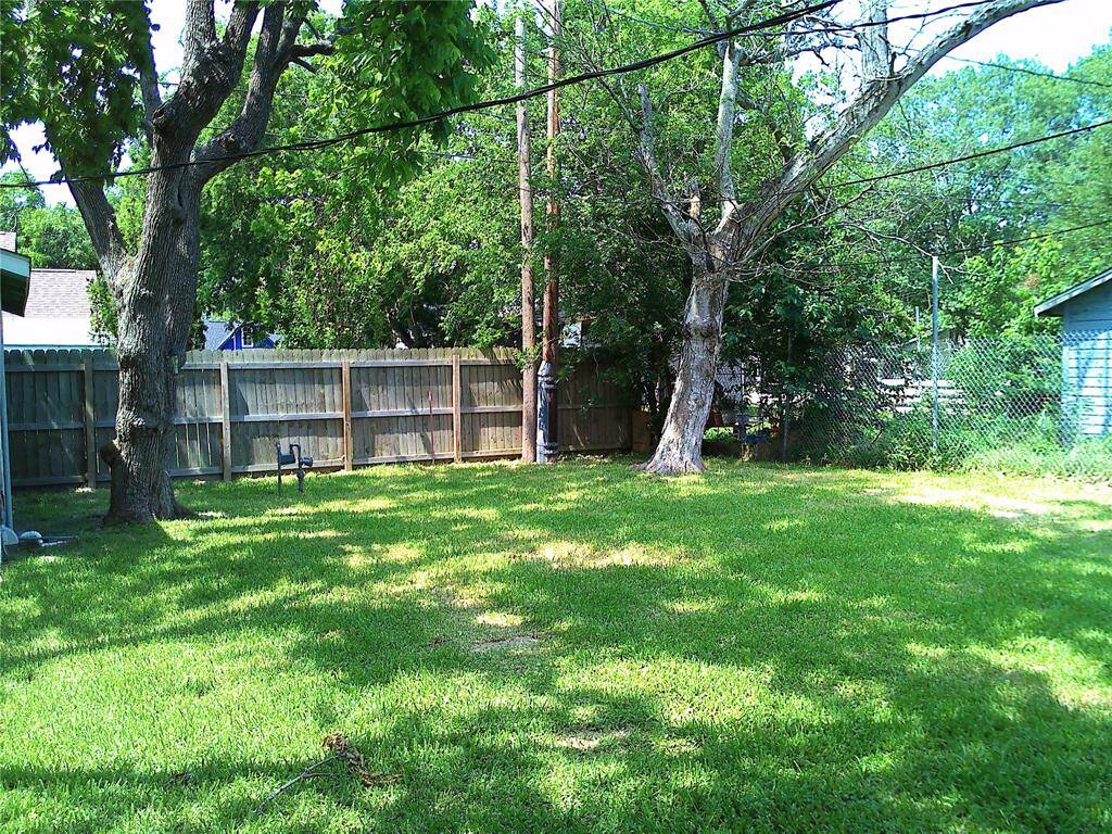 BACK YARD