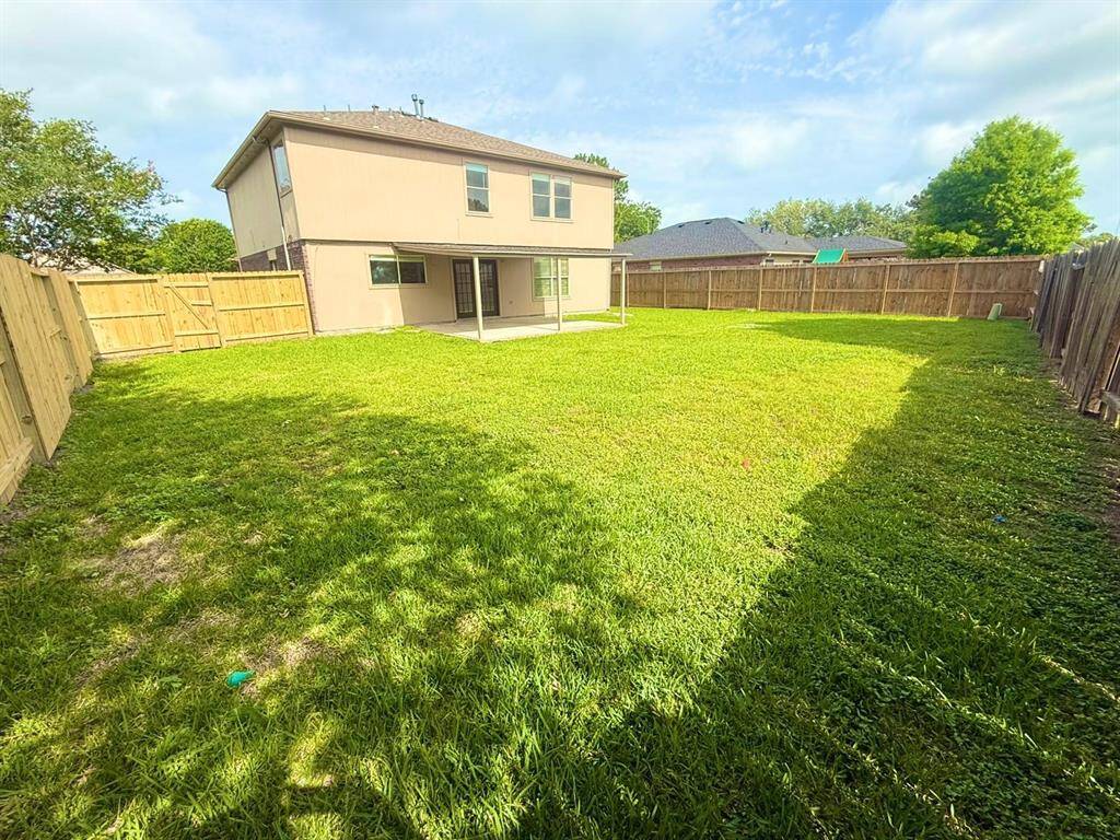 Back yard view