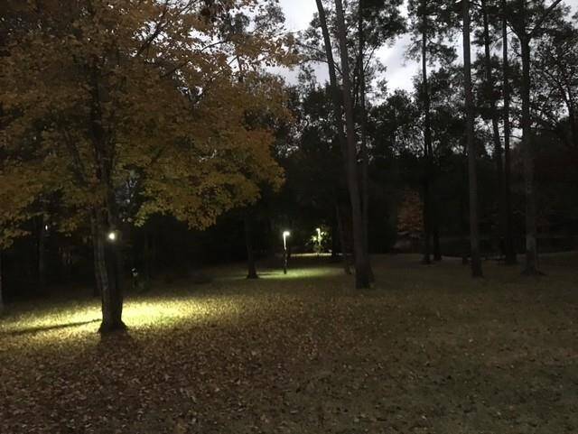 Backyard at night...