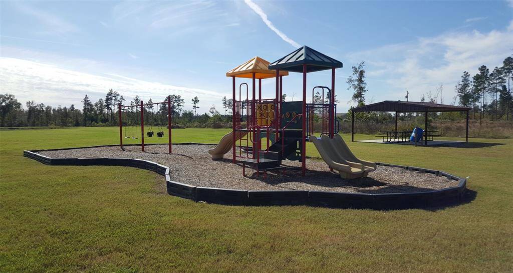 Community Area