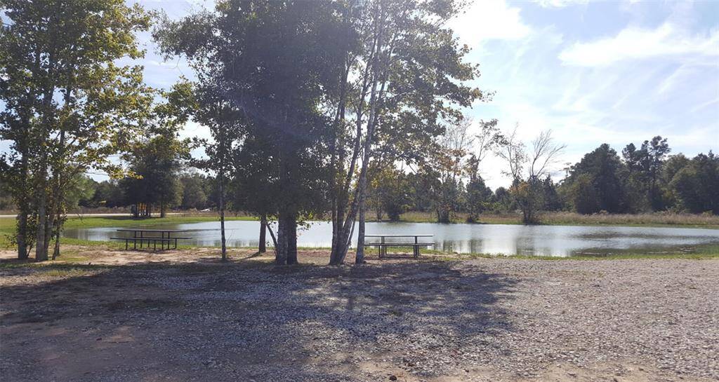 Community Area