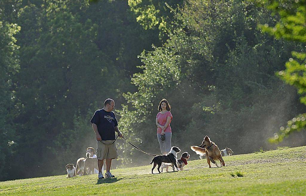 Short Ride/Drive or Walk to Several Parks and Hike & Bike Trails