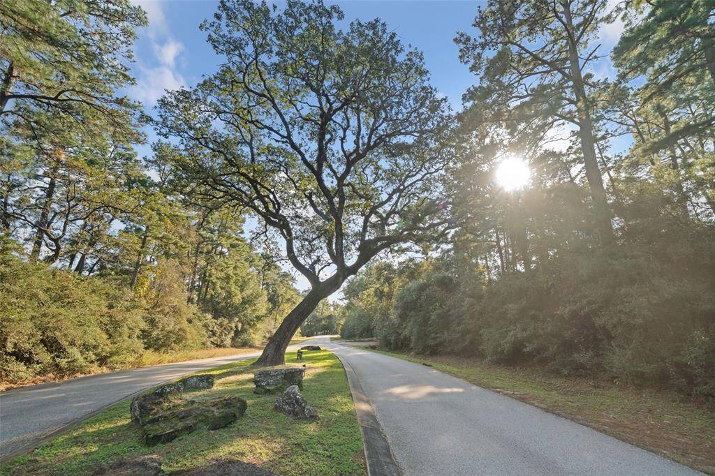 White Oak  Majestic tree landmark lets you know you are almost home.