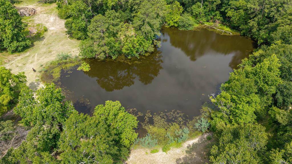 Natural pond