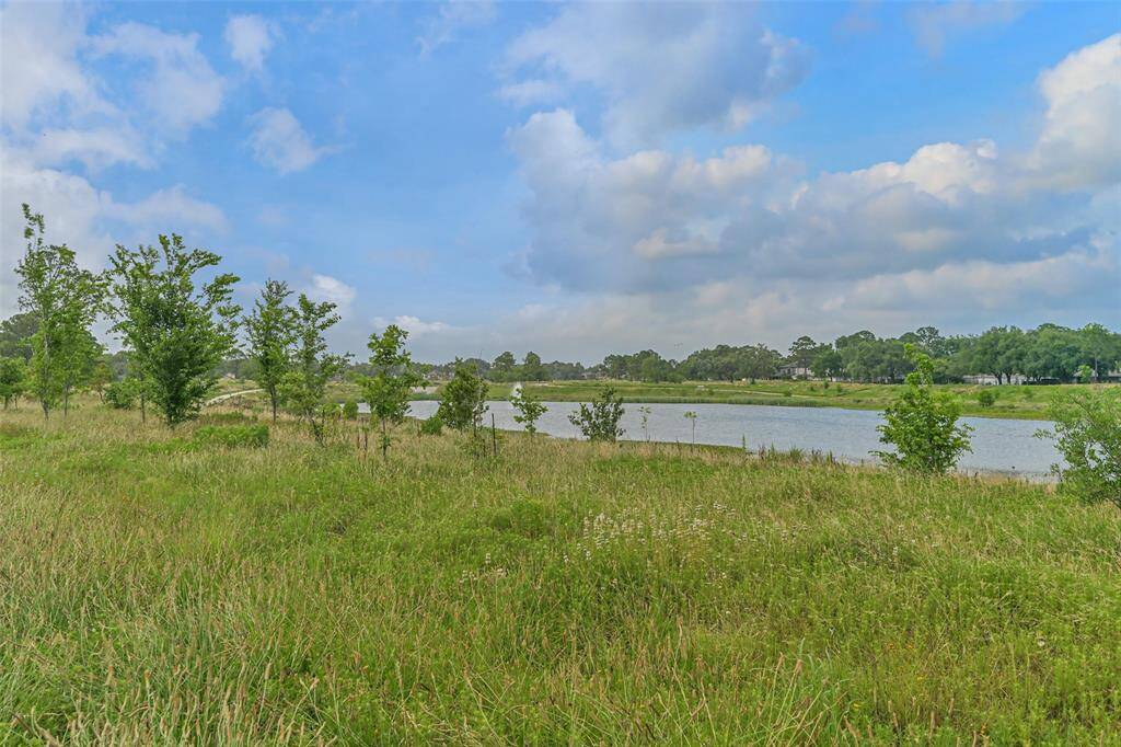 Green Space behind house