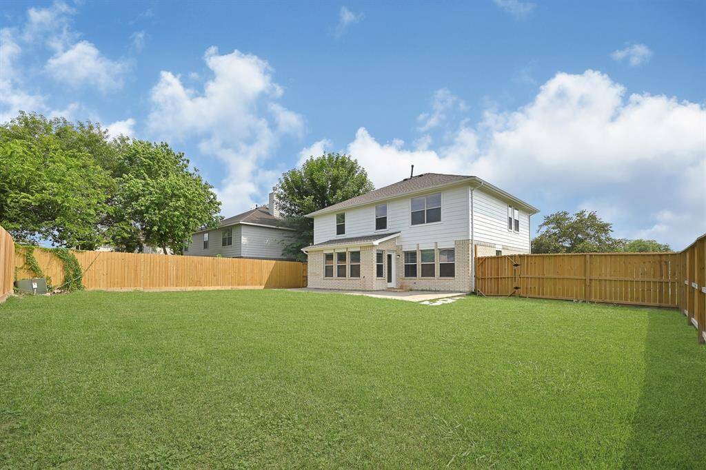 Backyard, new fence