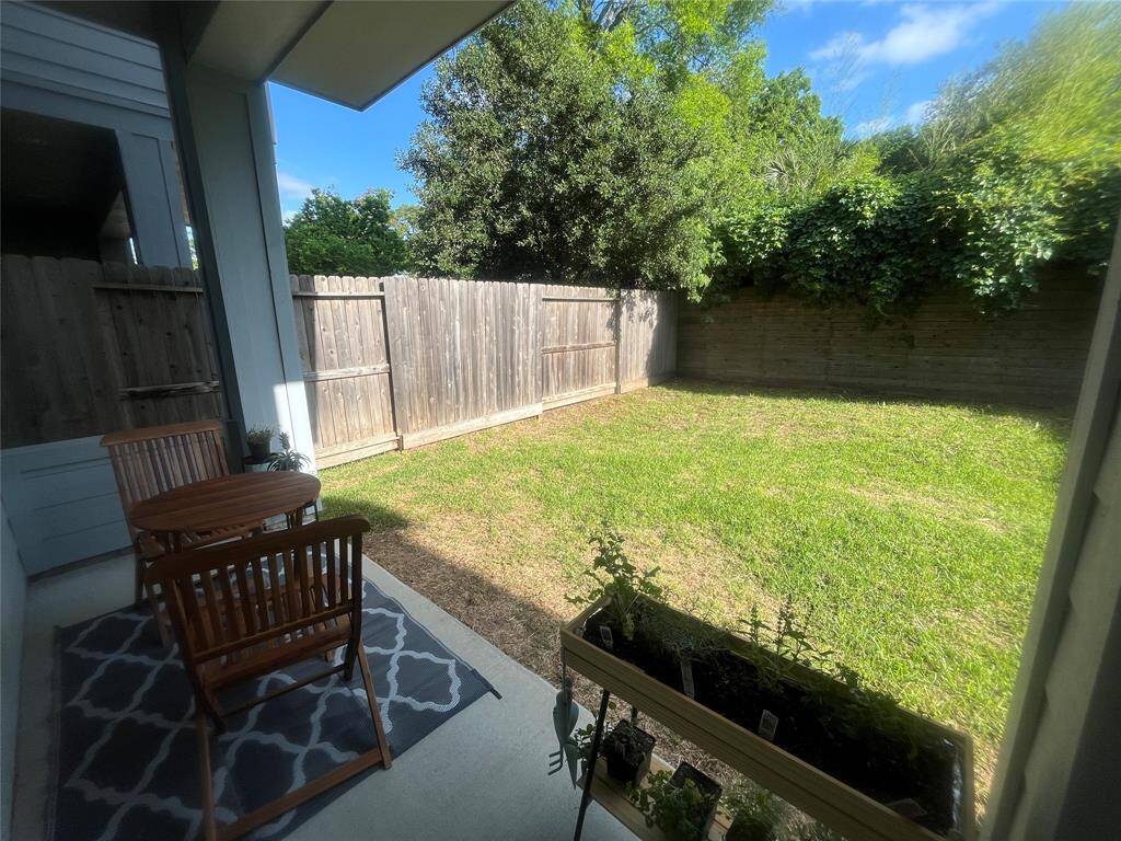 Backyard