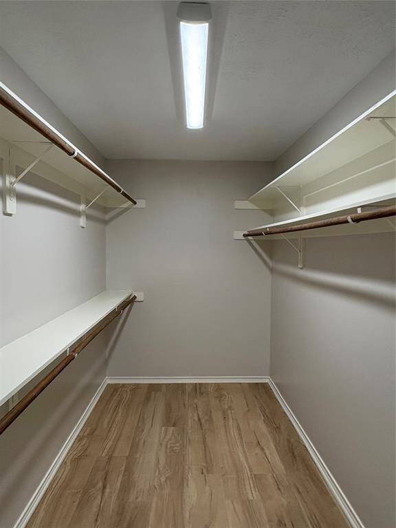 Primary closet