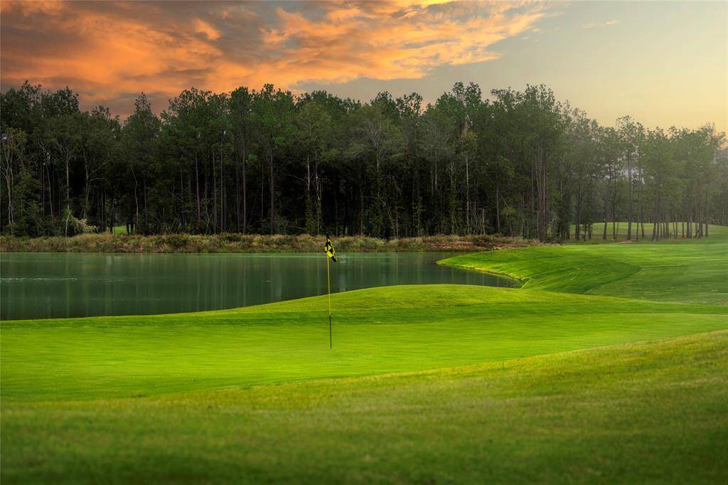 Tee off in a breathtaking natural setting at The Highlands’ scenic golf course—offering lush fairways, serene water views, and a tranquil backdrop for every round.
