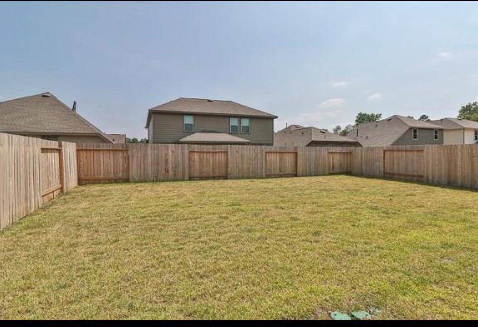 big backyard