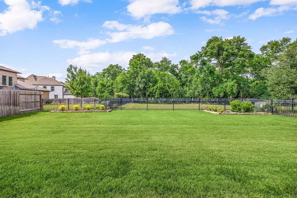 Back Yard View