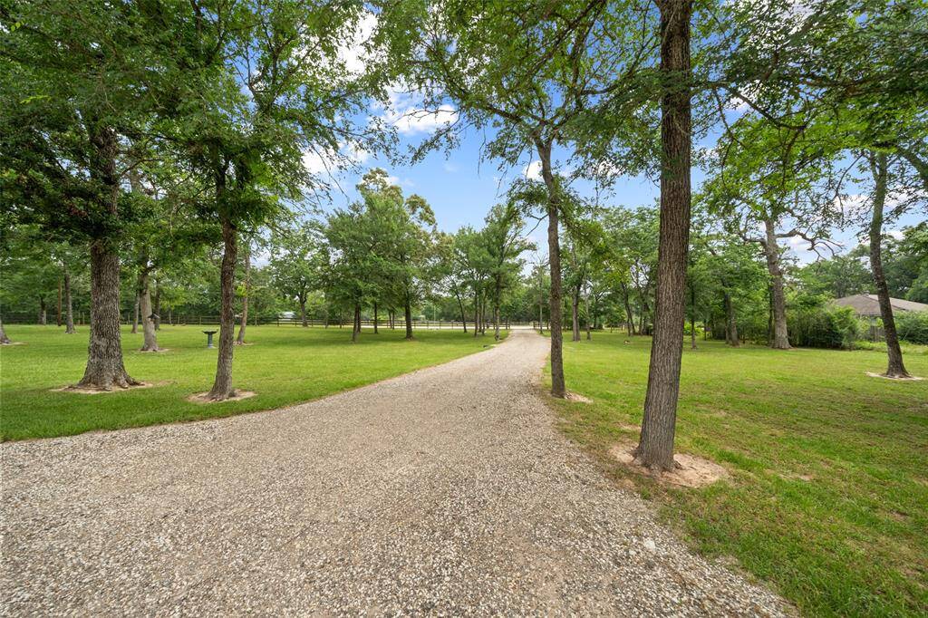 Picturesque gravel driveway winds through mature trees, creating a peaceful and private approach to the home.