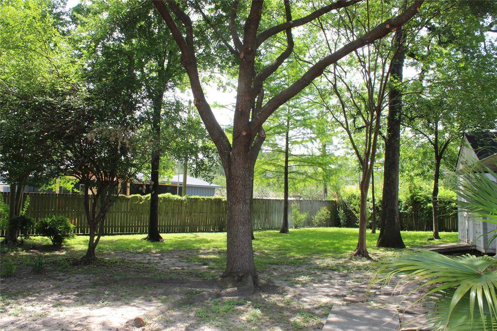 Large backyard for entertaining