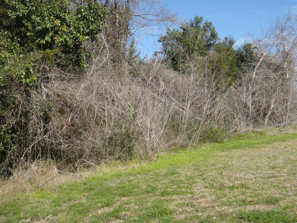 View of the right side of the property.