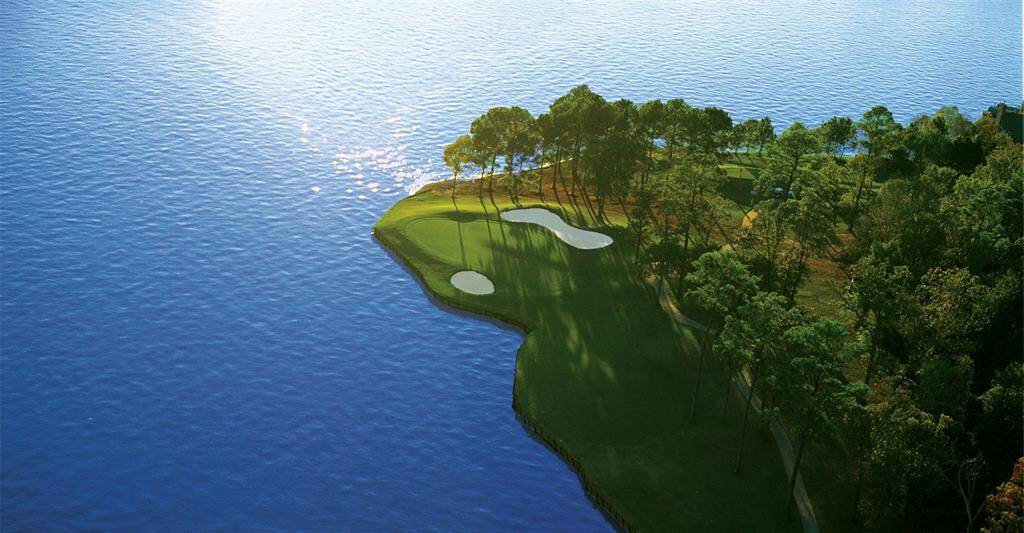 Embrace a lifestyle of luxury and community with a variety of social clubs and gatherings designed to enrich your everyday life.