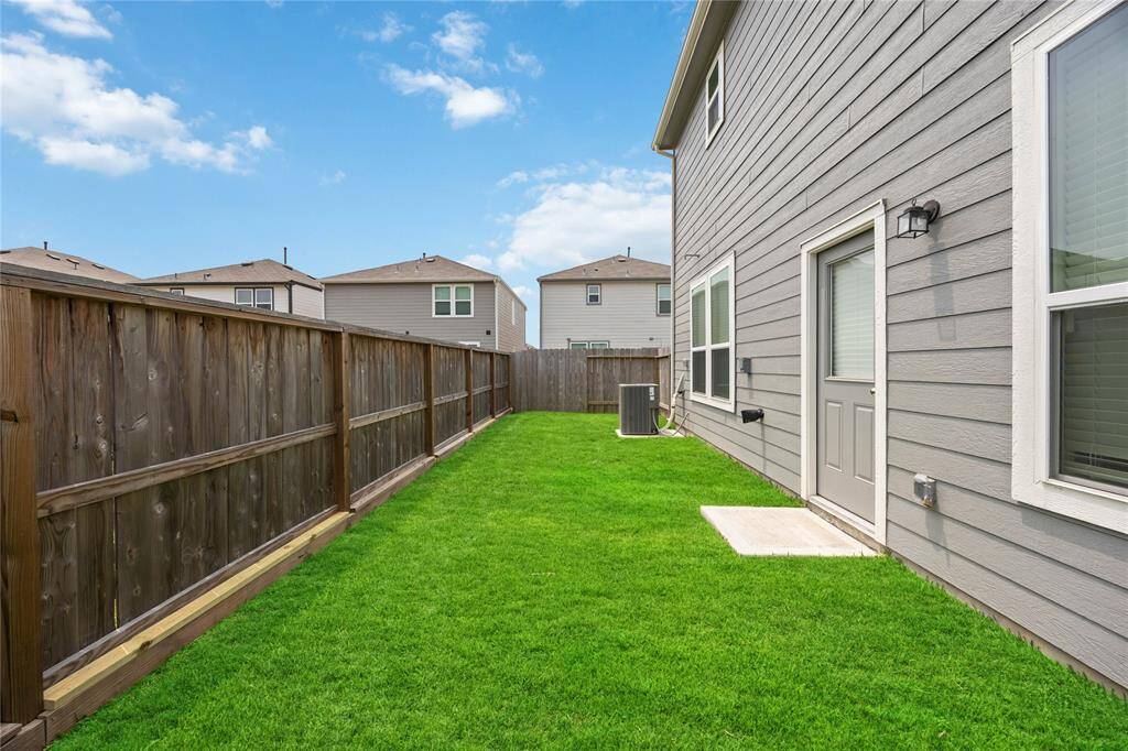 back yard