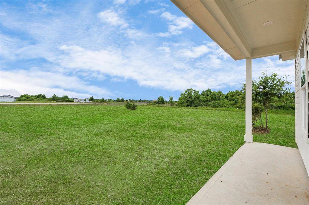 Patio/Backyard