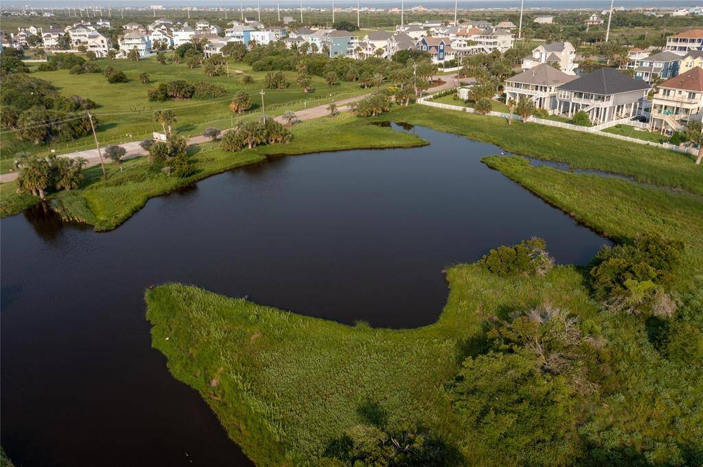 Nature preserve behind the house- Bird watching paradise!