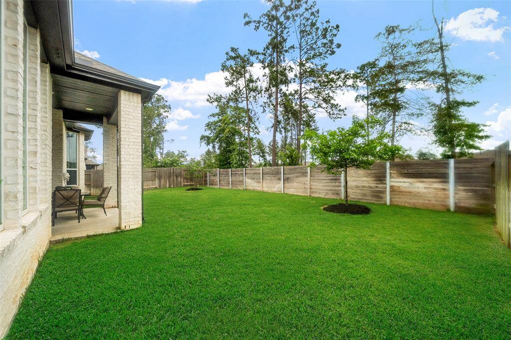Backyard View