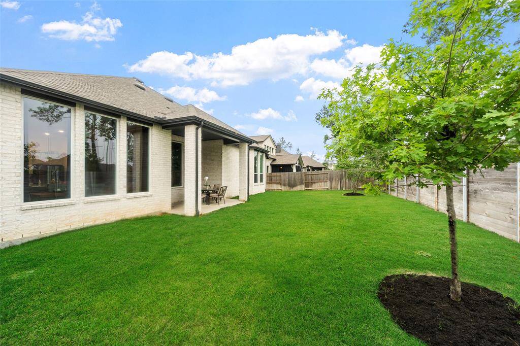 Backyard View