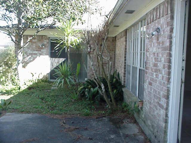 Magnolia/Pines, roses, jessamine, and oleanders in back