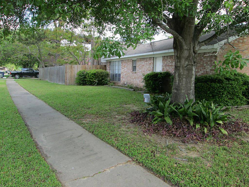 This is a picture of a tree and a sidewalk!