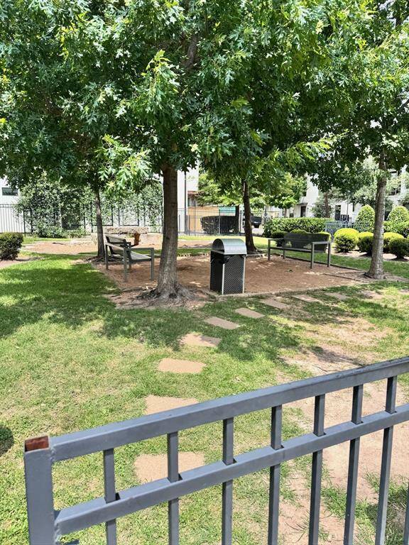 Dog park
