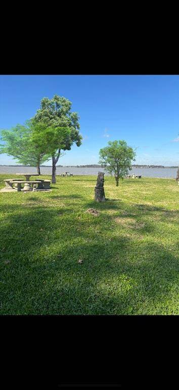 Park by the lake