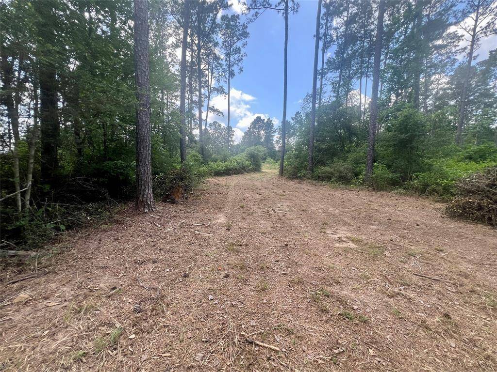 View of the driveway coming from the shop.