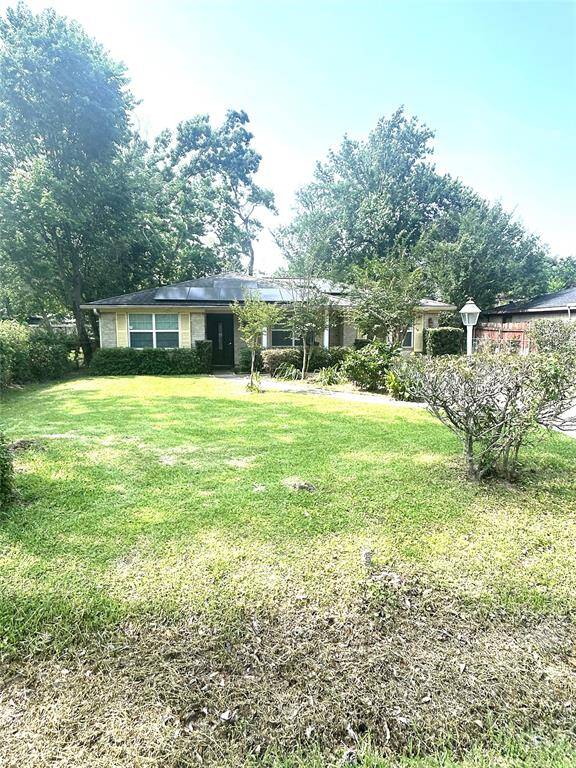 Front Yard