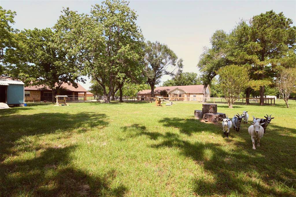 The view from the goat pasture behind the primary residence, beside the secondary residence.
