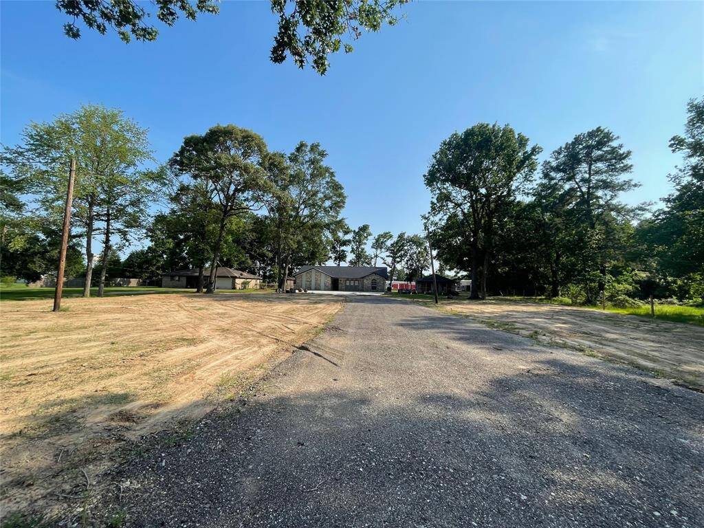 View from the front road