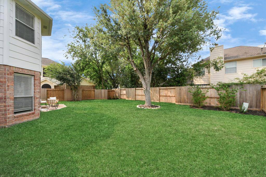 Another view of the backyard, featuring a beautiful tall tree that offers the perfect amount of shade.