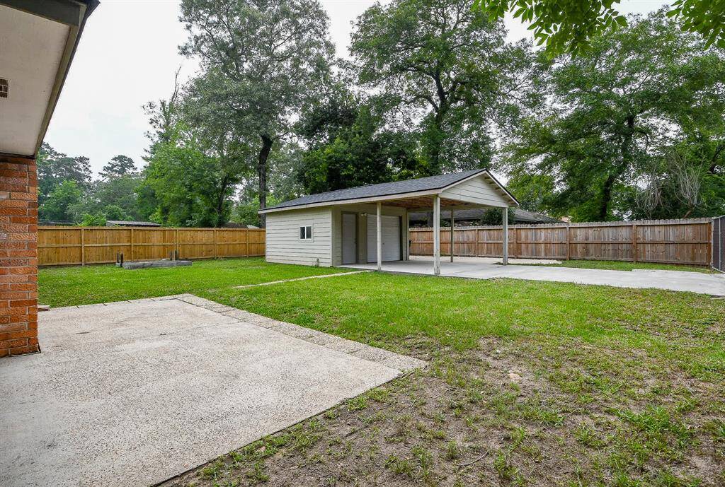 Backyard