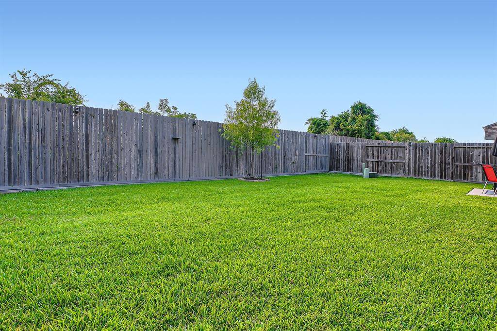 Yard