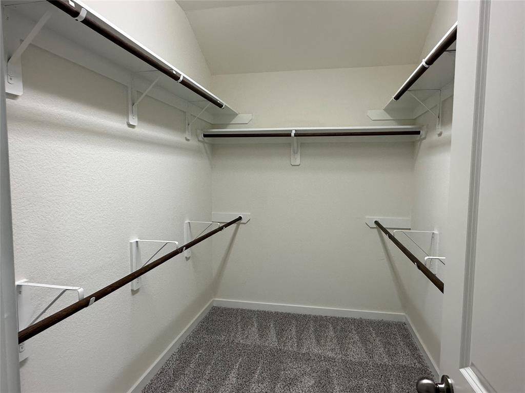 Primary (walk-in) closet