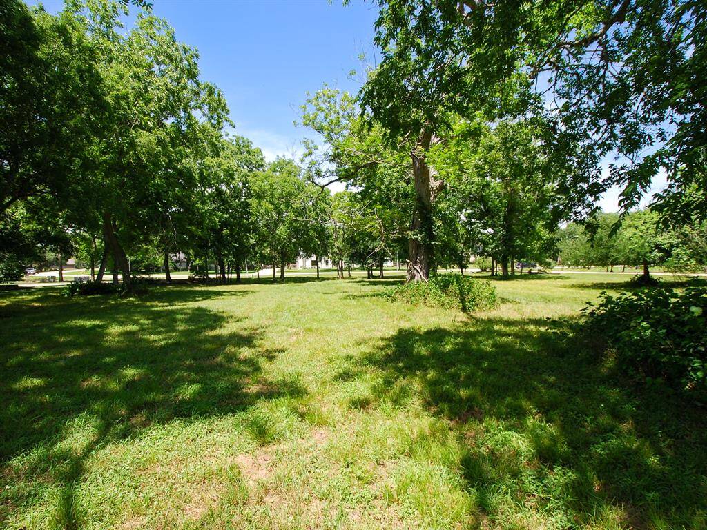 Another view of the ideal build site. Great news is not much has to be cleared, yet there are still plenty of trees to provide shade and ambiance.