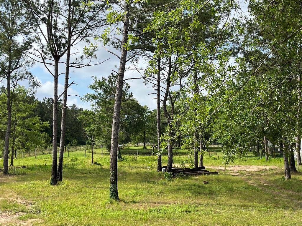 Back yard, where you can plan whatever you want to do