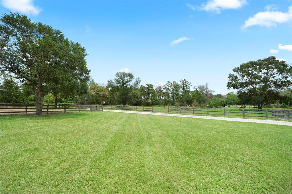 Lush open pastures and tree-lined fencing provide both beauty and function for your horses or livestock.