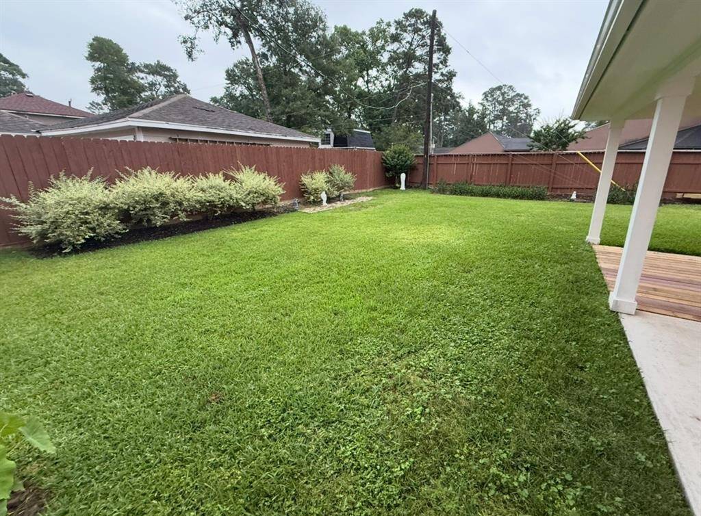 Back Yard
