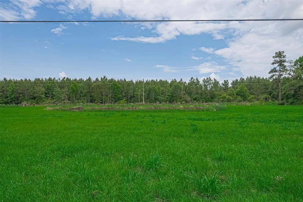Rolling green acreage transitions to shaded woodland.