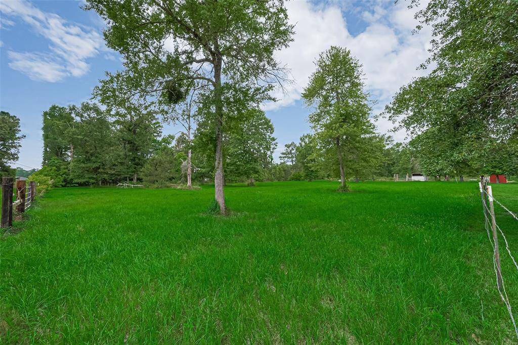 A mix of clearing and wooded areas, this portion of the property allows for creativity—gardens, trails, or future builds.