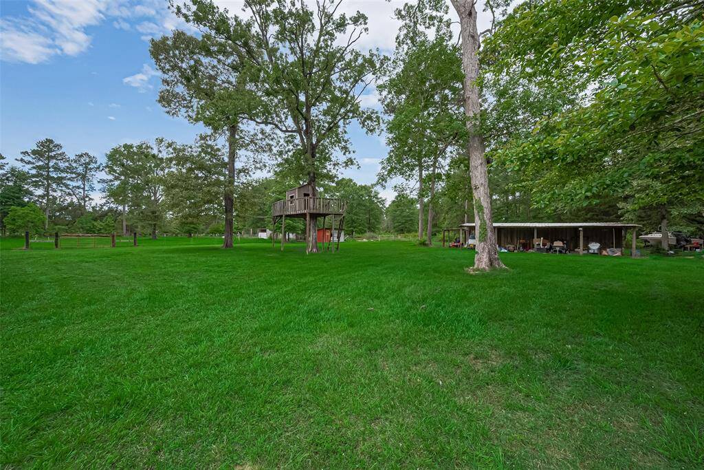 This view reveals how the tree house and shed nestle into the gently rolling yard, part of the property’s natural character.