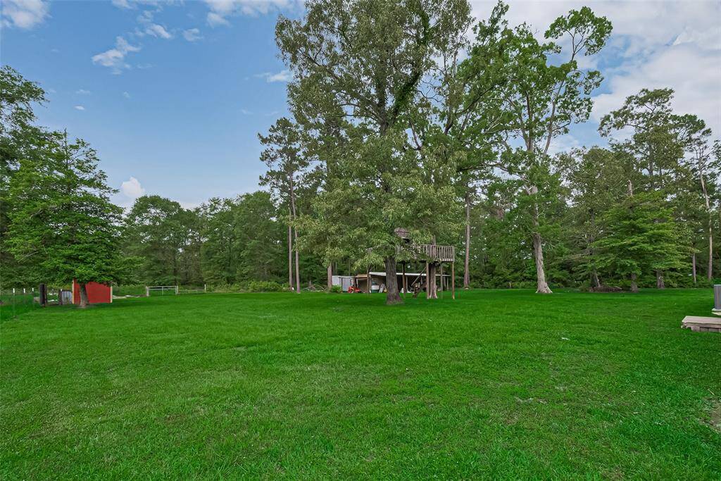 Looking out from the backyard, you’ll see the tree house, sheds, and wooded edges that give the property its inviting, lived-in charm.