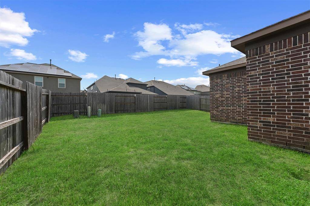 Backyard.
