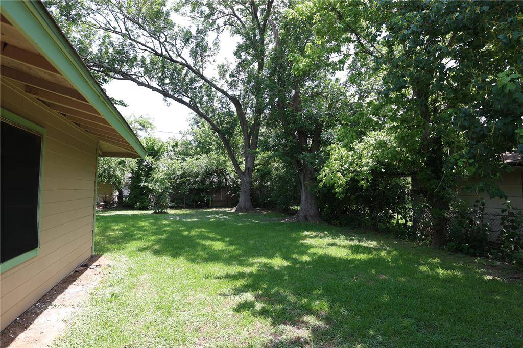 Back yard