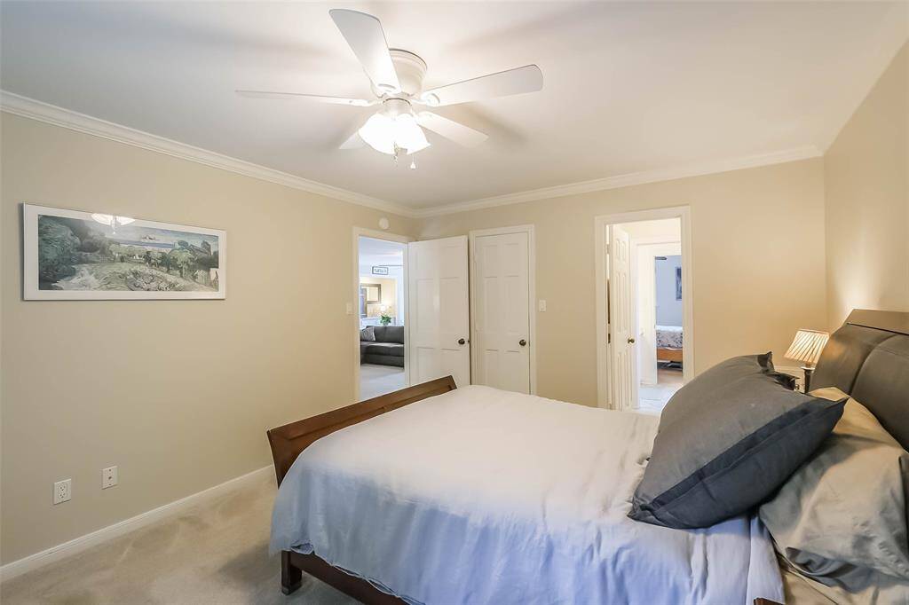Secondary bedroom features largewindows, walk-in closet, crown molding, ceiling fan, and plush carpet.