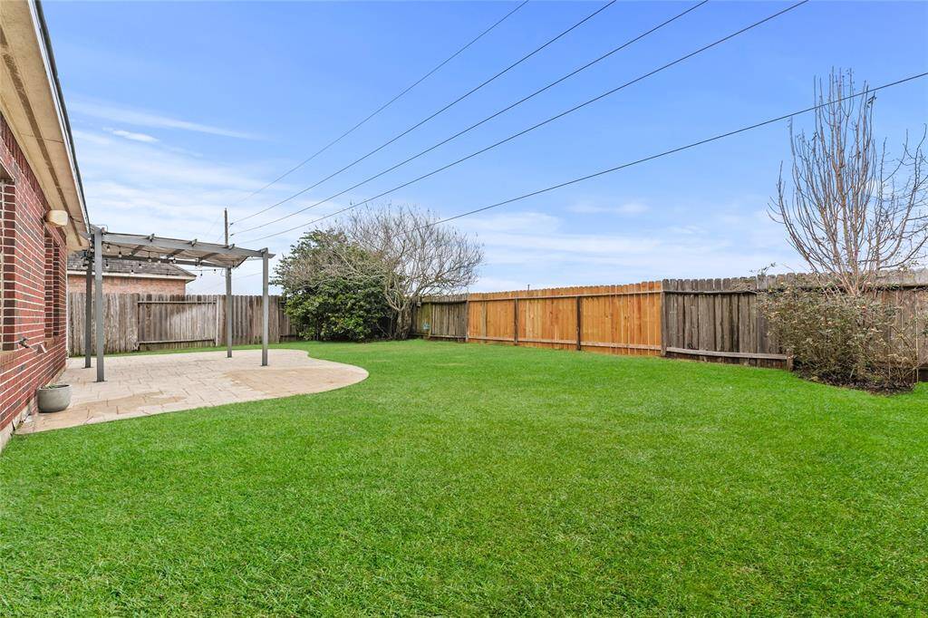 View of the backyard.