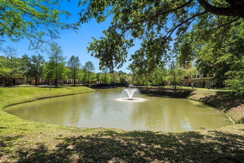 One more look at the community lake.