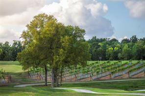 A unique highlight of Chambers Creek—our very own private vineyard, nestled along the scenic golf course. It’s a one-of-a-kind backdrop that blends natural beauty with resort-style living.